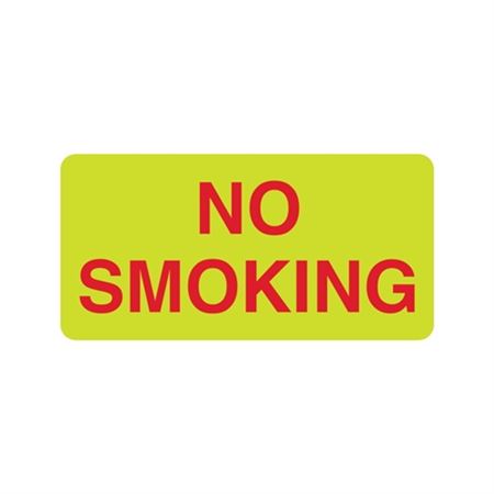 Luminescent No Smoking 6"x12" Sign